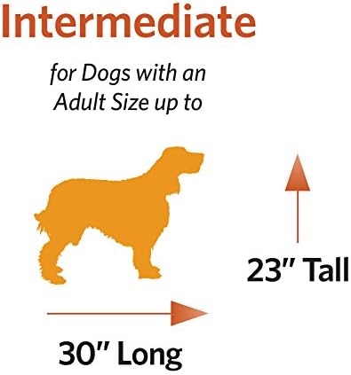 MidWest Homes for Pets Intermediate LifeStages Single Door 36-Inch Folding Dog Crate, Enhanced Security, Includes Leak-Proof Pan, Divider Panel, Handle, Rubber Feet
