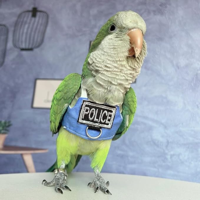 Bird Flight Harness Vest, Parrot Flight Suit with Leash, Bird Flying Clothes with Rope and Handle for Outdoor Activities (with Leash,Caique)