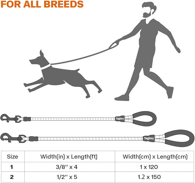 Taglory Rope Dog Leash 5 FT with Comfortable Padded Handle, Highly Reflective Threads Leash and Anti-Tangle Clip for Walking Medium Large Dogs, 1/2 inch, Purple