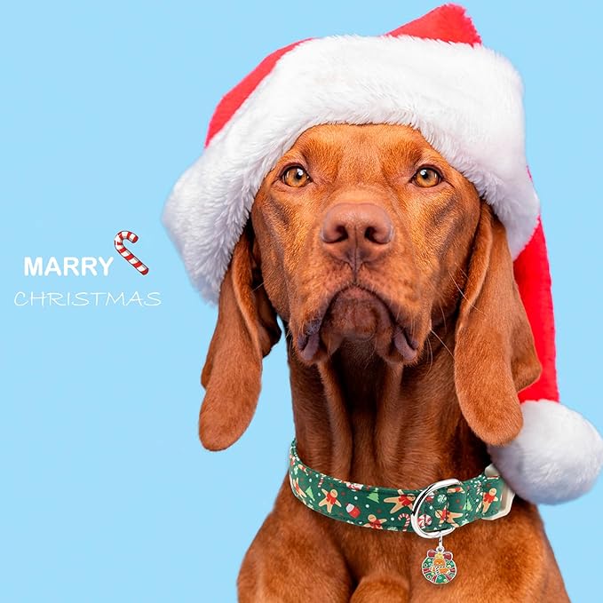 Faygarsle Christmas Dog Collar, Green Gingerbread Pattern, Plastic Buckle with Metal D-Ring, Holiday Pet Accessory, for Small Medium Large Dogs XS