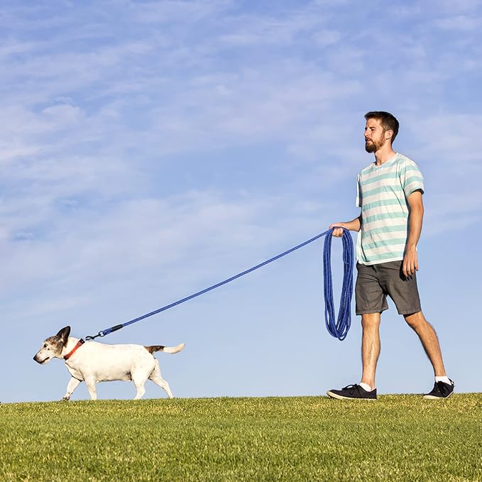 Long Dog Leash for Training 50Ft-Reflective Nylon Rope with Swivel Hook-Recall Agility Lead for Large Small Medium Dogs Outside Walking Hiking-Royal Blue