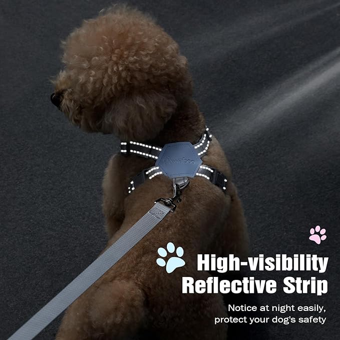 Pawaboo Small Dog Harness and Leash Set, Puppy Harness X-Frame No Pull No Choke, Dog Vest Harness Adjustable for Small Medium Sized Dogs, Soft Breathable Pet Harness for Walking Outing (L, Blue)
