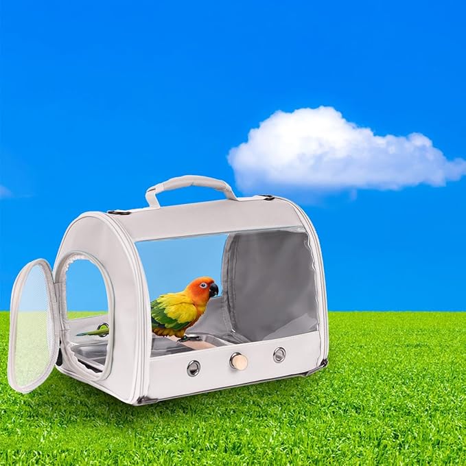 Small Bird Travel Carrier Cage for Long Tail Bird Parakeet Parrot, Includes Metal Tray Soft Mat and Wooden Standing Perch, Hands Free Lightweight Clear 2 Windows