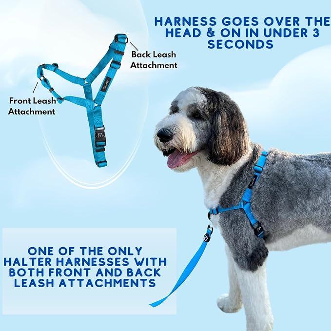 ShawnCo Dream Walk No-Pull Dog Harness- Adjustable, Comfortable, Easy to Use Pet Halter to Help Stop Pulling for Small, Medium and Large Dogs (Midnight, S)