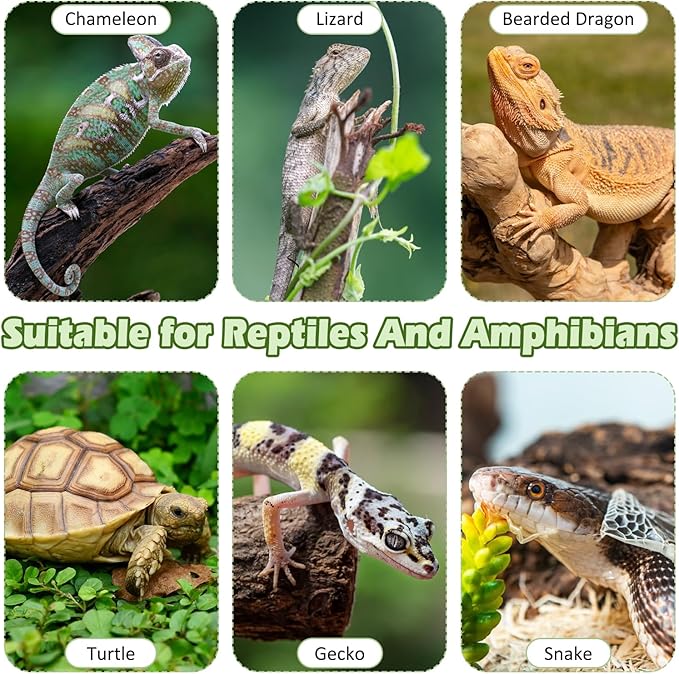 kathson Bearded Dragon Tank Accessories, Large Reptile Hide Wooden Bridge Seagrass Hammock Jungle Climber Vines Leaves and Plant Reptile Habitat Decor for Chameleon Lizards Gecko Snakes Climbing