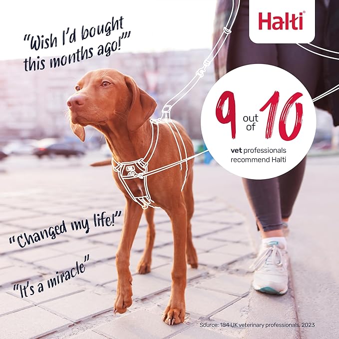 Halti No Pull Harness - Stop Your Dog Pulling on The Leash. Adjustable, Lightweight and Easy to Use. Reflective Dog Training Harness for Toy and Small Dogs (Size XS, Cobalt Blue)