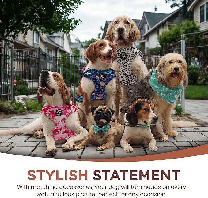 No Pull Harness and Leash Set - 6-in-1 Adjustable Vest Harness and Collars for Medium and Large Dogs. (Cosmic, Extra Small)