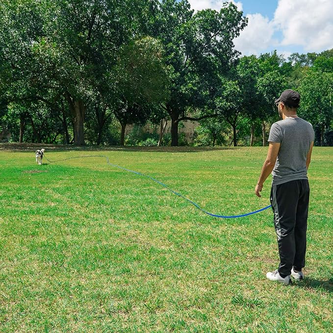 Hi Kiss Dog/Puppy Obedience Recall Training Agility Lead - 15ft 20ft 30ft 50ft 100ft Training Leash - Great for Training, Play, Camping, or Backyard - Orange 100ft