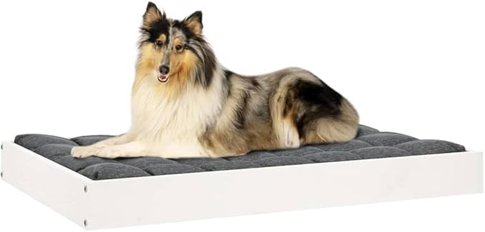 Medium Dog Bed, Modern Minimalist Solid Pine Wood Pet Bed for Indoor Use, Sturdy Raised Wooden Dog Cot, 36 x 25 Inch Rectangular Frame, Matte White