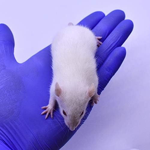 MiceDirect- 10 Rat Weanlings- Fresh Fast Frozen Food Feeders for SubAdult Ball Python Red Tail Boa Monitor Lizard Birds of Prey Pet Reptiles
