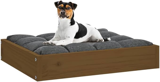 Solid Pine Wood Dog Bed in Warm Honey Brown Finish 20.3 x 17.3 x 3.5 Inches Durable Cozy Pet Resting Space for Small Breeds Indoor Use Minimalist Design