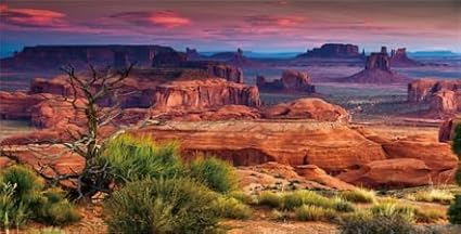 48X18IN Desert Loess Rock Cactus Oasis Reptile Habitat Background, Natural Sunset Desert Themed Terrarium Background, Aquarium Background with 10 EVA Double-Sided Tape