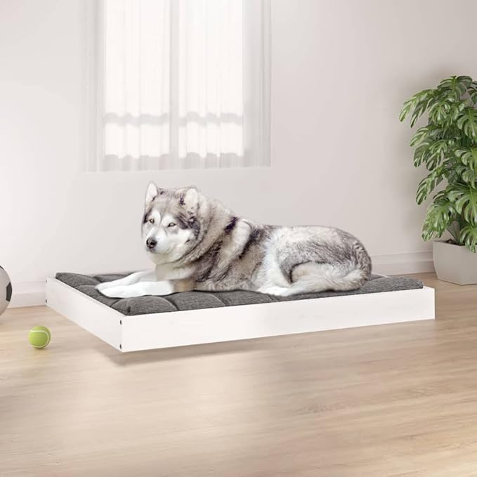 White Solid Pine Wood Elevated Dog Bed for Medium Dogs, 4-Piece Simple Design Pet Furniture with Cozy Spot and Durable Construction