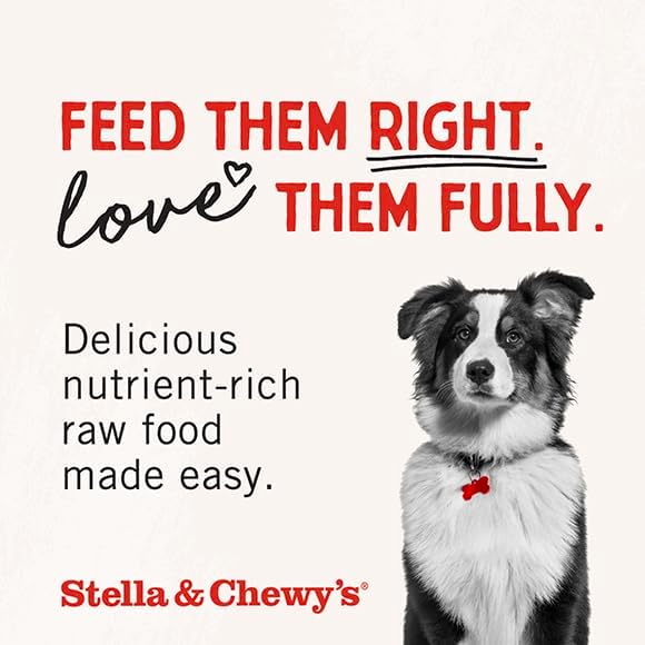 Stella & Chewy's Freeze-Dried Raw Chicken Meal Mixers- Dog Food Topper and Mixer - Made with 95% Cage-Free Chicken, Organs & Bone - Perfect for Picky Eaters - Grain-Free - 1oz (Pack of 6)