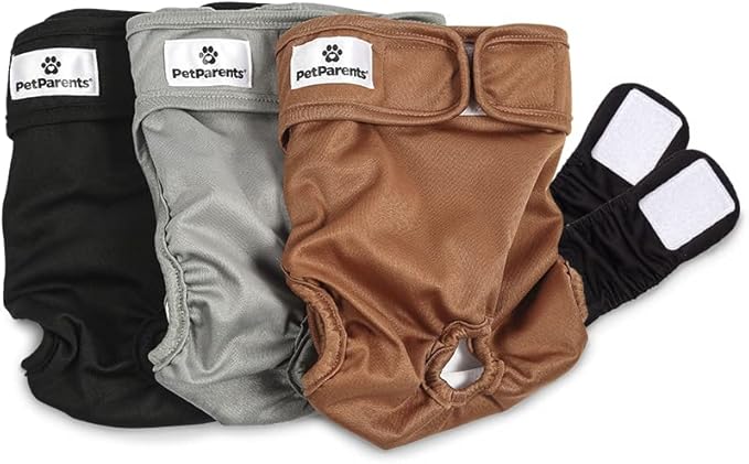 Pet Parents® Washable Dog Diapers (3pack) + Extendrs® of Durable Doggie Diapers, Premium Dog Diapers Female (Large, Natural)