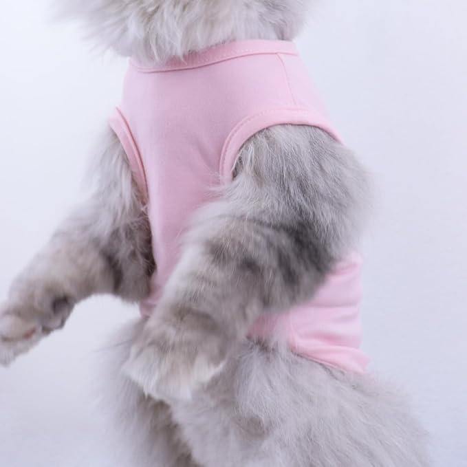 Custom Dog Birthday Shirt,Personalized Pet Apparel Print with Name Age Number,Pet Birthday Outfit,Lightweight Breathable Cotton Vest for Small Medium Large Dogs Cat (White + Black Border, Large)