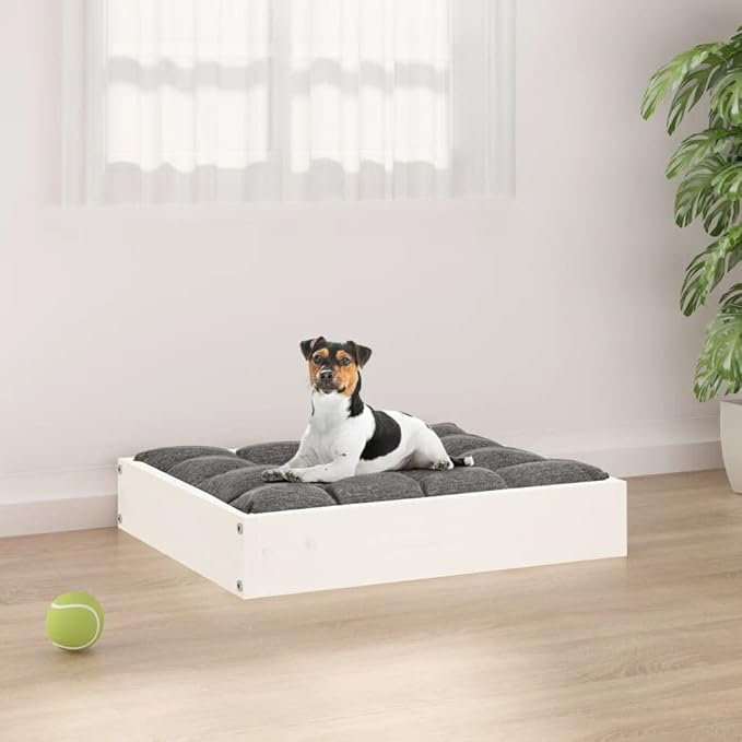 Solid Pine Wood Dog Bed for Small Breeds, Elevated Rectangular Pet Bed with Smooth Painted Finish, Indoor Comfortable Sleek Design, 4-Piece Set for Cozy Relaxation and Better