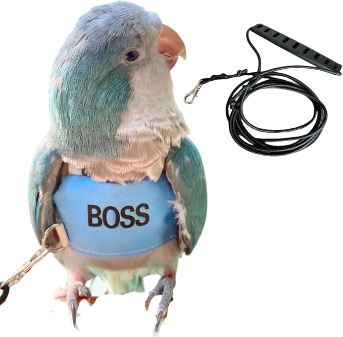 Bird Flight Harness Vest, Parrot Flight Suit with Leash, Bird Flying Clothes with Rope and Handle for Outdoor Activities (M)