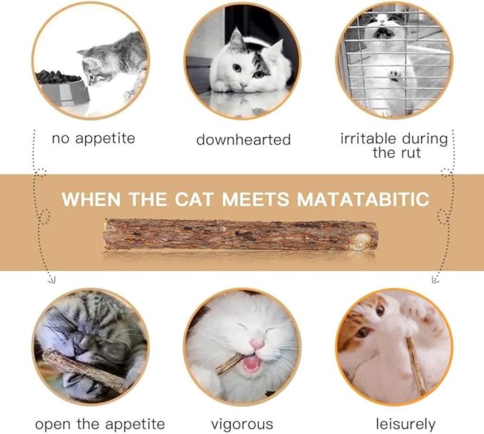20 PCS Cat Catnip Sticks Natural Matatabi Silvervine Sticks - Cleaning Teeth Molar Tools Kitten Chew Toy Natural Catnip Cats Toy