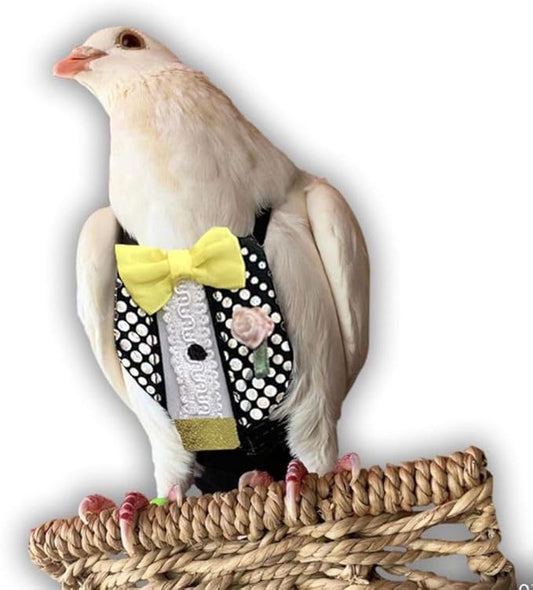Bev's Bird Boutique Regular Flyper Adjustable Bird Diaper | Reusable, Washable Cloth | Comfort Fit for Parrot, Cockatiels, & Other Small Birds | Fashionable Avian Accessories, Retro Tux, Size 9.5