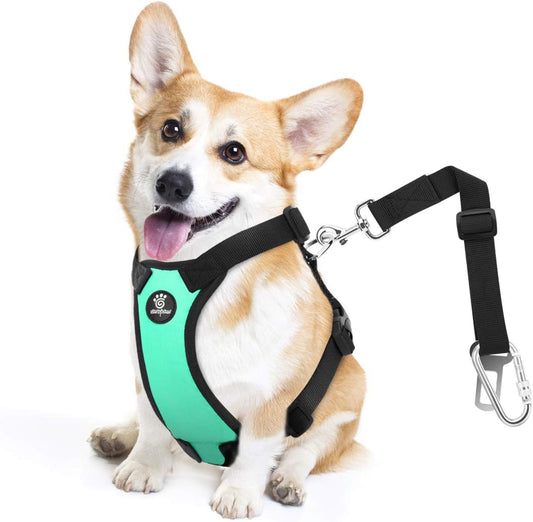 Dog Seat Belt, Safety Vest Dog Car Harness with Adjustable Buckle Dog Seat Belt for Vehicle Nylon Pet Safety Seat Belts Heavy Duty(S, Lake Blue)
