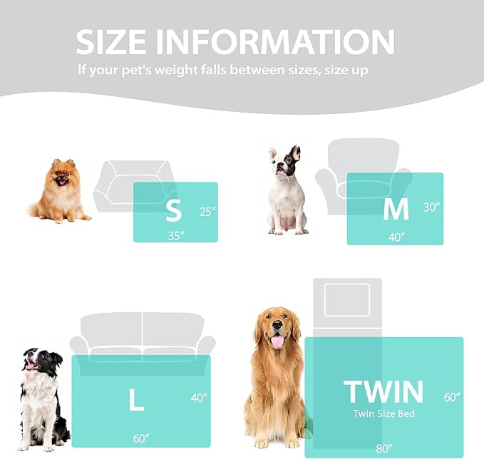 Dog Blankets Washable Pet Blanket - Fluffy Fuzzy Cat Puppy Blanket with Premium 300GSM 3D Fleece Bubble for Pet Kitten Doggy, Cream, 40x60IN
