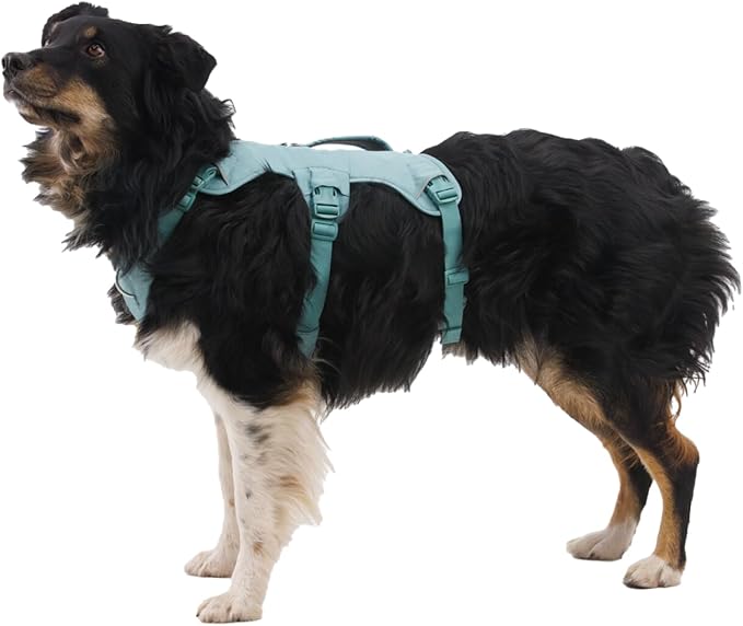 Ruffwear, Web Master, Multi-Use Support Dog Harness, Hiking and Trail Running, Service and Working, Everyday Wear, Red Canyon, Medium