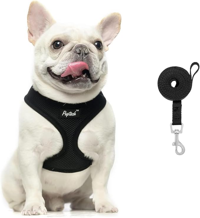 PUPTECK Soft Mesh Dog Harness and Leash Set Pet Puppy Cat Comfort Padded Vest No Pull Harnesses, Solid Black, XS