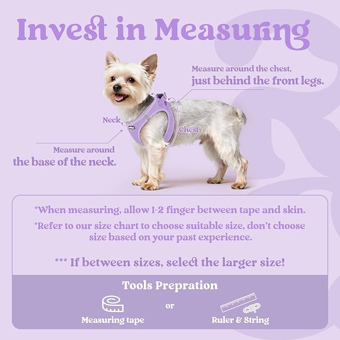 rabbitgoo Small Dog Harness, Step-in Soft Mesh Puppy Vest with Safety Buckle, Breathable Reflective Pet Harness for Small Medium Dogs, Light Purple XL