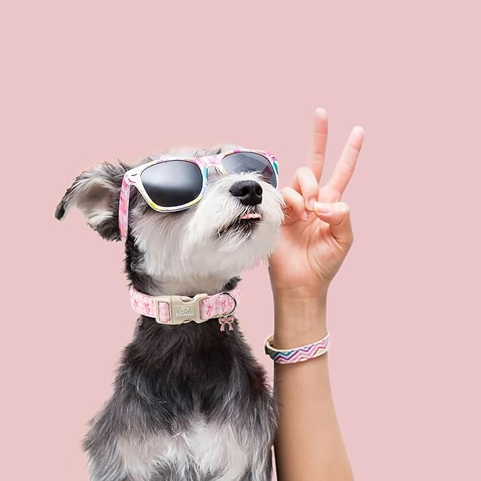 Girl Dog Collar for Small Dogs - Cute Pink Plaid & Bow Print Spring/Summer Puppy Collar, Soft Adjustable Holiday Female Dog Collars with Quick Release Buckle S