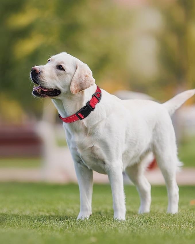 Joytale Large Dog Collar, Reflective and Adjustable Nylon Pet Collar with Quick-Release Buckle for Extra Large Dogs, Red, XL