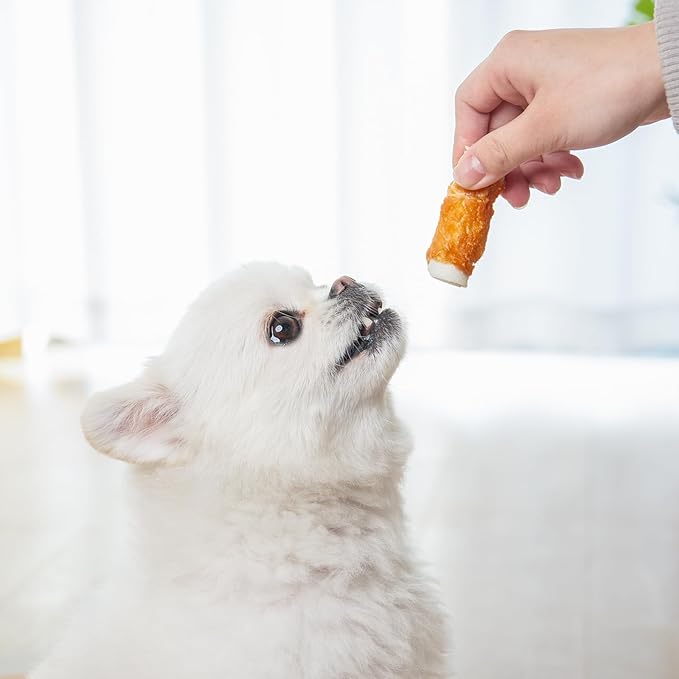 MON2SUN Dog Treats, 2.5 Inch Chicken Wrapped Rawhide Rolls, Teeth Cleaning Chews with High Protein for Small Dogs, 21.2 oz (32 Count - Pack of 2)