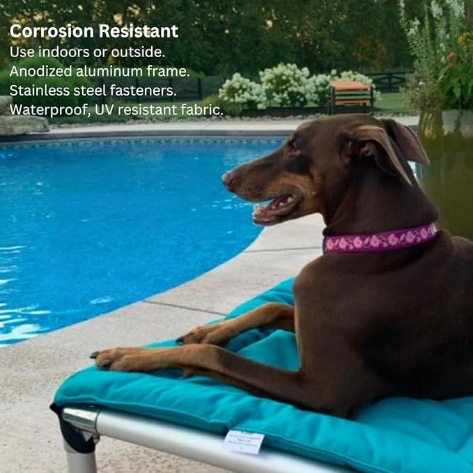 Kuranda Chewproof Elevated Pet Bed - Silver Aluminum - 50" x 36" - Sunsure Textilene - Sierra