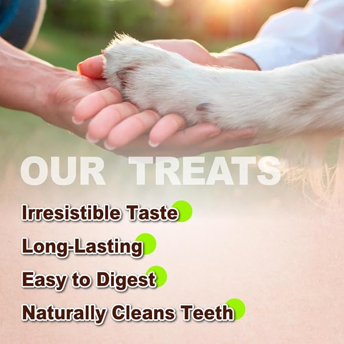 A Freschi srl Turkey Tendons for Dogs, USA-Sourced, Healthy Dog Treats, Rawhide-Free Puppy Chews, Long Lasting, All Natural, Hypoallergenic Dog Treats for Large Breeds, 2 Count Pack Rope (L)