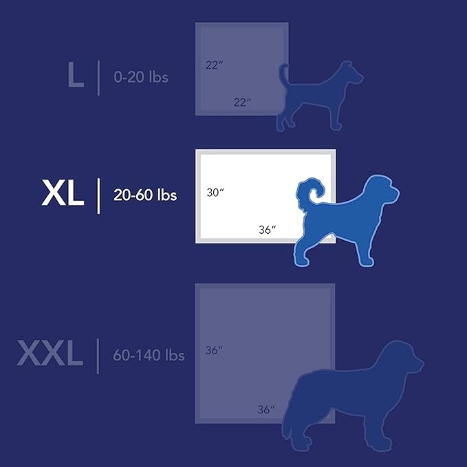 Scott Pet Guard Dog Pads - Size XL - 30" x 36" - 40 Pack of Pet Pads
