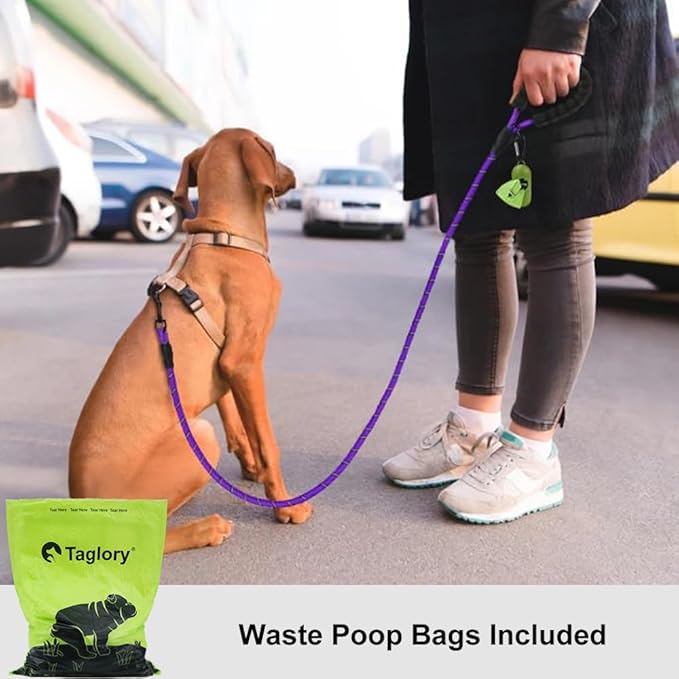 Taglory Rope Dog Leash 6 FT with Comfortable Padded Handle, Highly Reflective Threads Leash and Anti-Tangle Clip for Walking Small Dogs, 3/8 inch, Purple