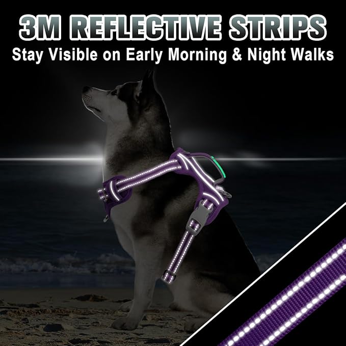 BARKBAY No Pull Dog Harness Large Reflective Dog Harness with Front Clip and Easy Control Handle for Walking Training Running with ID tag Pocket(Purple,XL)
