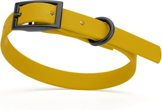 Dogline Biothane Waterproof Dog Collar Strong Coated Nylon Webbing with Black Hardware Odor- Proof for Easy Care Easy to Clean High Performance Fits Small Medium or Large Dogs, Treasure Gold