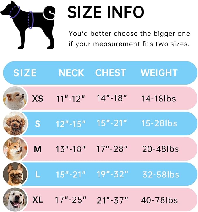 IVY&LANE No Pull Dog Harness with Leash Set, Reflective No Choke Pet Vest,Adjustable Oxford Dog Vest Harness with Easy Control Handle for Large Dogs (Checkered Blue,XL)