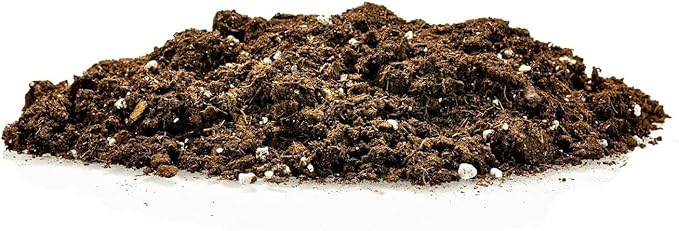 GARDENERA Premium Pothos Potting Soil Mix - Air Cleaning Plant Potting Mix, Soil Mix for Pothos, Parlor Palm, Peace Lily - (2 Quart Bag)