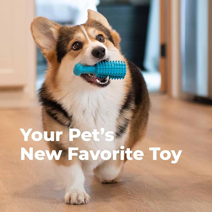 Oxyfresh Dog Dental Chew Toy - Best Dog Teeth Cleaning Toy – A Simple Bite and Brush Toy That Helps Remove Plaque, Cleans Teeth & Freshens Breath Without Brushing - Large (Pack of 2)