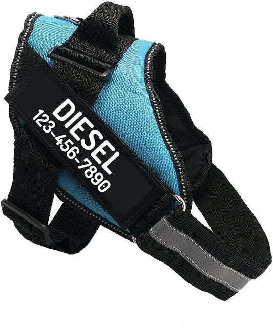 PawPawify Custom No Pull Dog Harness with Name and Phone Number, Heavy Duty Personalized Pet Vest to Prevent Tugging, Pulling, or Choking, Training and Walking (SkyBlue, XL (60-85 LBS))