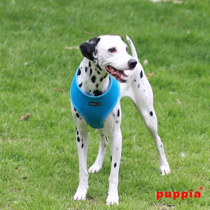 Puppia Soft Dog Harness No Choke Over-The-Head Triple Layered Breathable Mesh Adjustable Chest Belt and Quick-Release Buckle, Sky Blue, X-Small