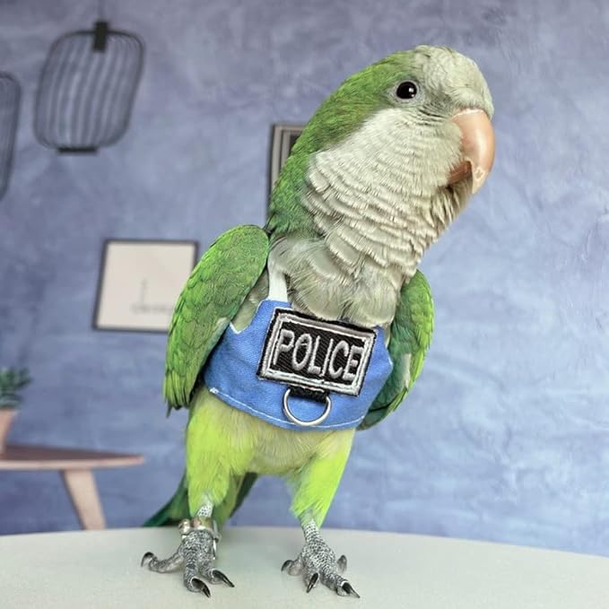 Bird Flight Harness Vest, Parrot Flight Suit with Leash, Bird Flying Clothes with Rope and Handle for Outdoor Activities (with Leash,Cockatiel)