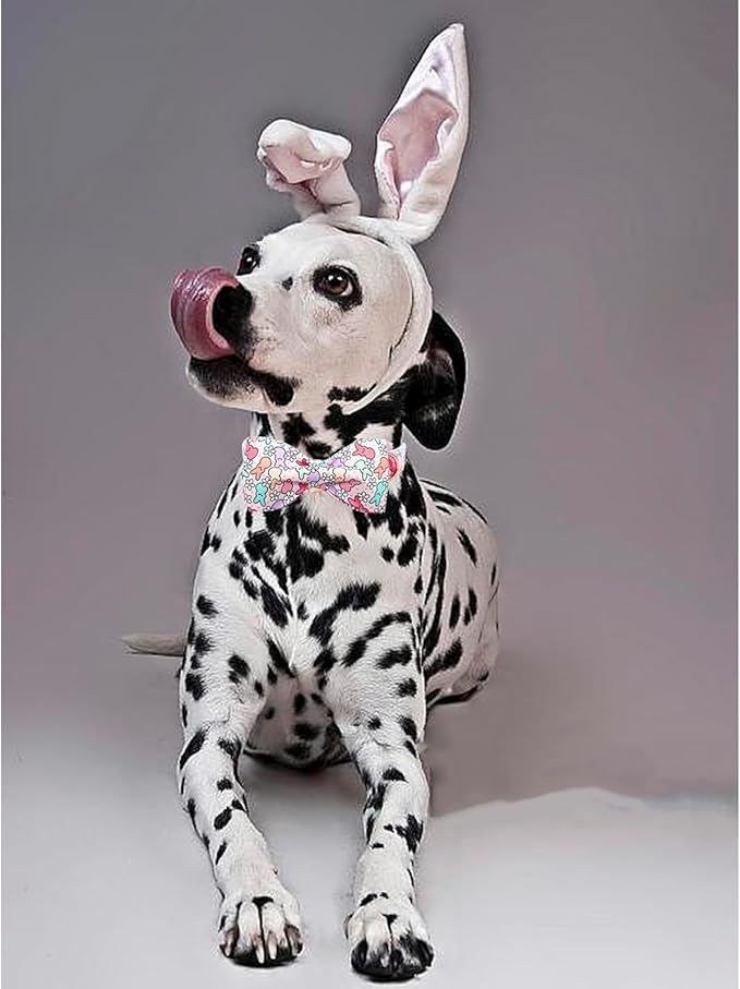 Lionheart Glory Easter Day Dog Collar with Bowtie for Large Dogs
