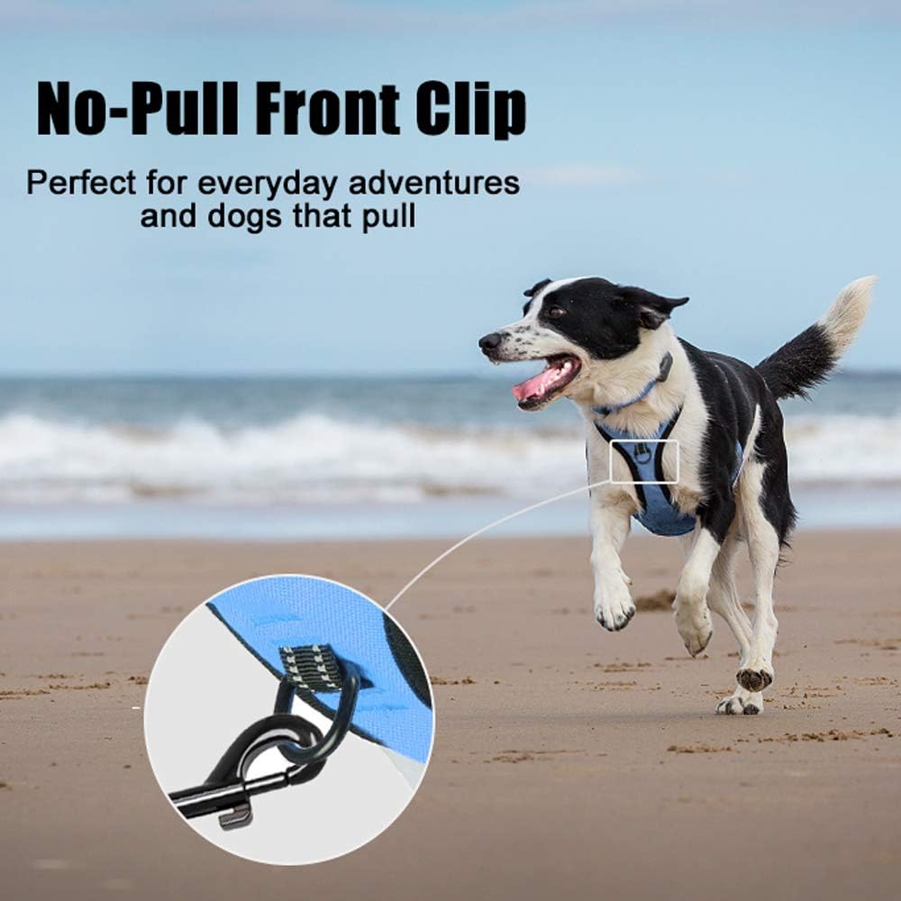 PoyPet No Pull Dog Harness, Reflective Comfortable Vest Harness with Front & Back 2 Leash Attachments and Easy Control Handle Adjustable Soft Padded Pet Vest for Small to Large Dogs (Light Blue,S)
