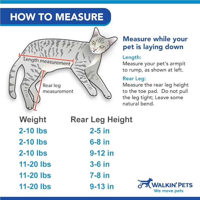 Walkin' Wheels Lightweight – for Small Cats 2 to 20 Pounds – Veterinarian Approved – Cat Wheelchair for Back Legs, for Cats 2-10 lbs, 2-5 inches Leg Height – Blue