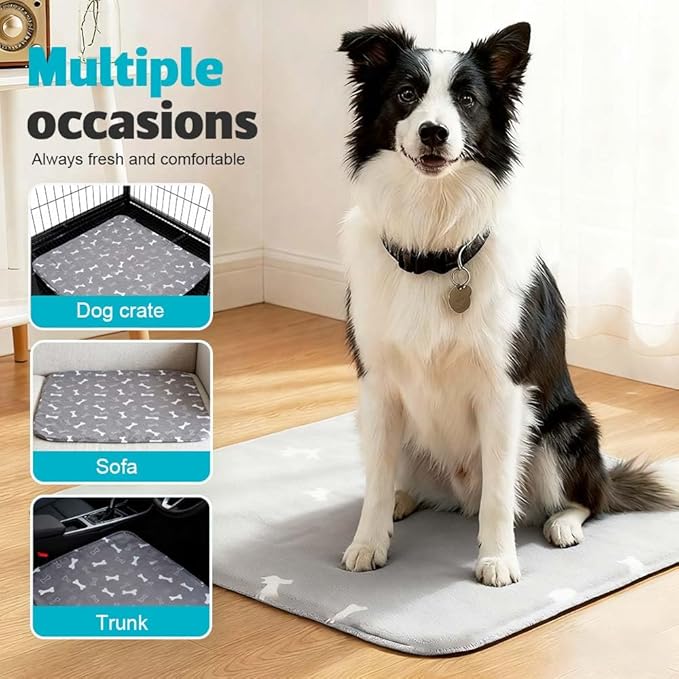 Puppy Pads for Dogs, 2026 New Washable Puppy Pads with Pheromones, Pee Pads for Dogs & Cats, Durable Leak-Proof & Anti-Slip Pet Training Pads for Home & Travel, Reusable (Grey, 15.7" x 23.6")