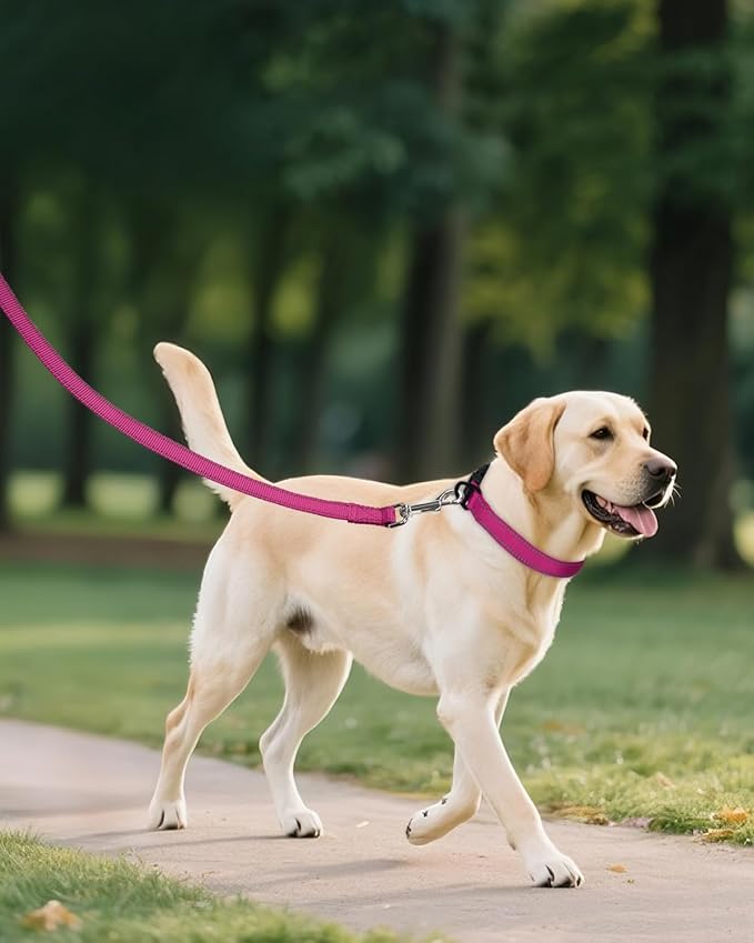 Joytale Large Dog Collar, Reflective and Adjustable Nylon Pet Collar with Quick-Release Buckle for Large Dogs, Hotpink, L