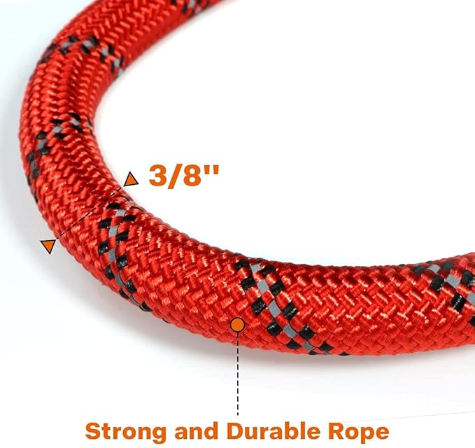 Taglory Rope Dog Leash 5 FT with Comfortable Padded Handle, Highly Reflective Threads Leash and Anti-Tangle Clip for Walking Small Dogs, 3/8 inch, Red